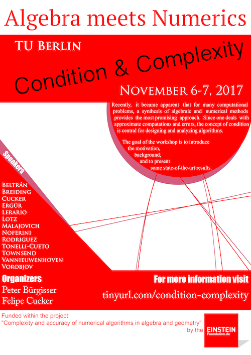 Poster of Complexity of numerical computation: A conference in honor of Felipe Cucker